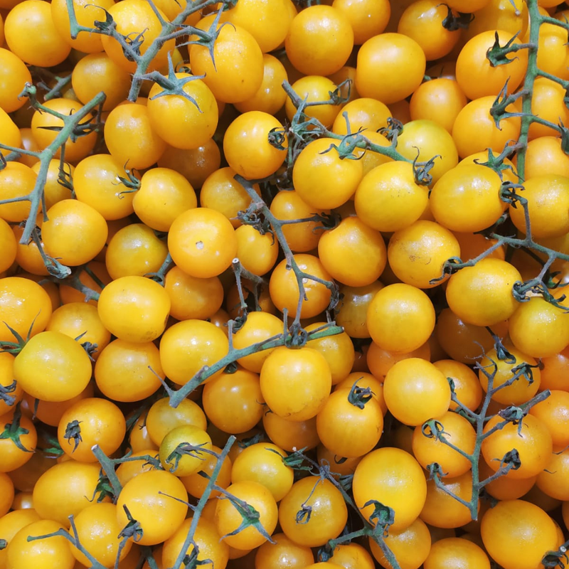Vegetable - Yellow Truss Tomatoes  - 500g/pkt - LPB Market