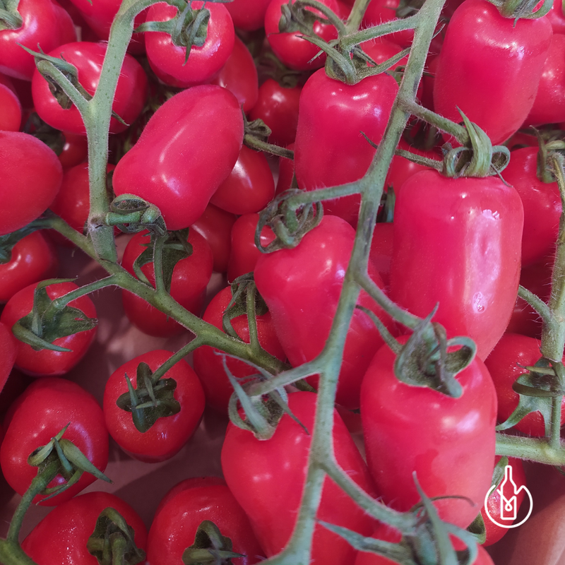 Vegetable - Mini San Marzano Tomato - 500g/pkt - LPB Market