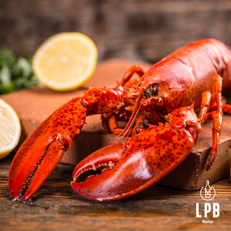 seafood - Boston Lobster whole cooked frozen - LPB Market