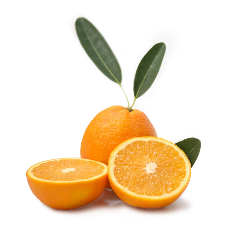 Vegetable - Navel Oranges - 5pces/pkt - LPB Market