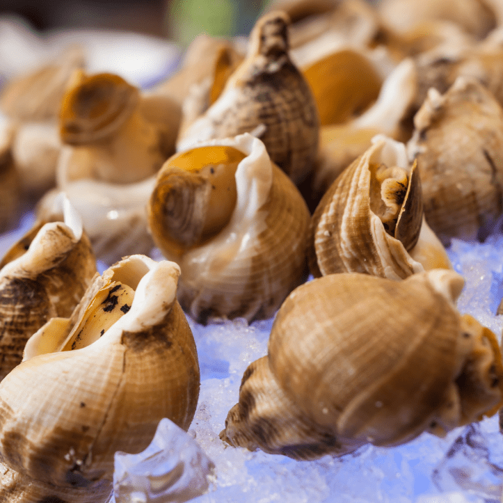 seafood - Cooked Whelks - Bulots frozen - LPB Market