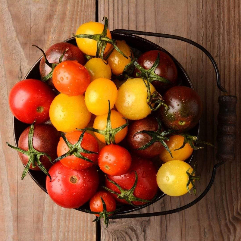Vegetable - Heirloom Tomatoes - 500g/pkt - LPB Market